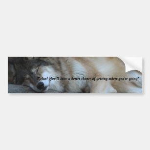 Sleeping Wolf Bumper Sticker