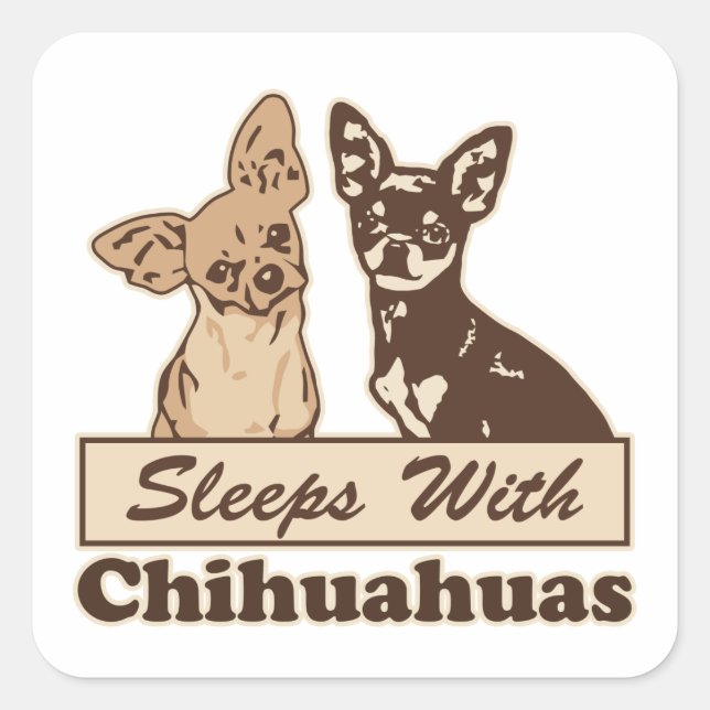 Sleeps With Chihuahuas Square Sticker (Front)