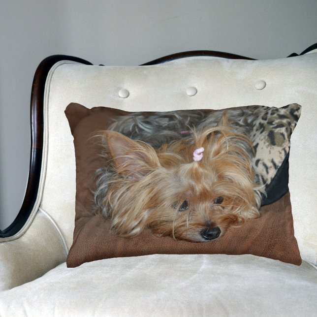Sleepy Adorable Yorkshire Terrier Puppy Decorative Cushion (Creator Uploaded)