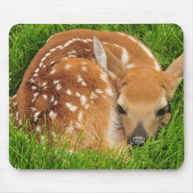 Sleepy Baby Fawn Mouse Pad (Front)