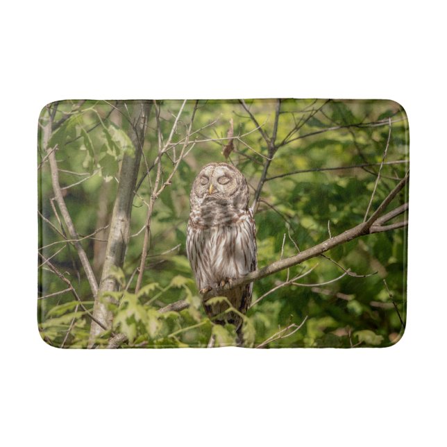 Sleepy Barred Owl Bath Mat (Front)