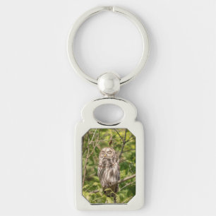 Sleepy Barred Owl Key Ring