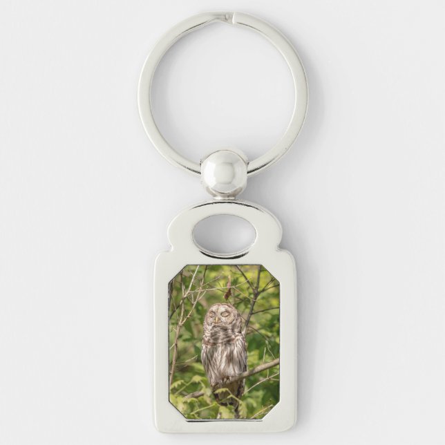 Sleepy Barred Owl Key Ring (Front)