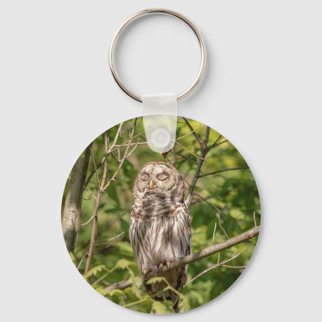 Sleepy Barred Owl Key Ring (Front)