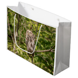 Sleepy Barred Owl Large Gift Bag