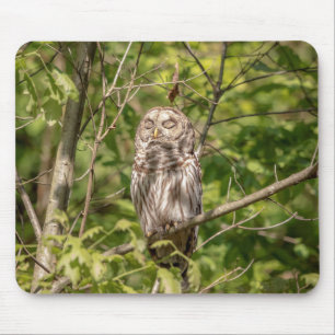 Sleepy Barred Owl Mouse Pad