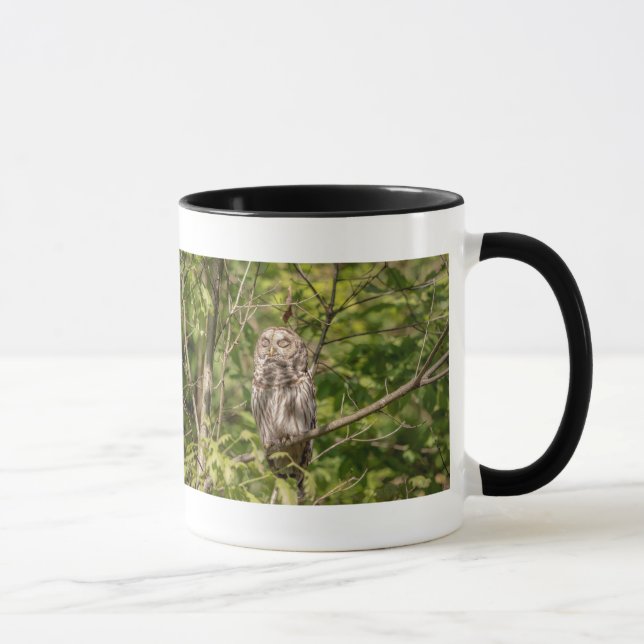 Sleepy Barred Owl Mug (Right)