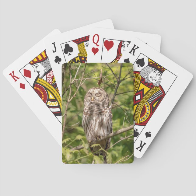 Sleepy Barred Owl Playing Cards (Back)