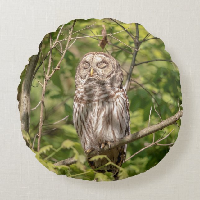 Sleepy Barred Owl Round Cushion (Front)