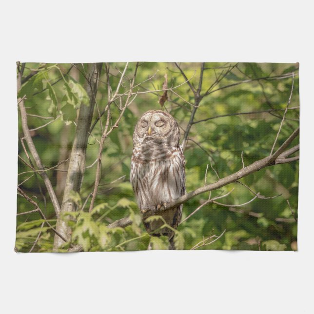 Sleepy Barred Owl Tea Towel (Horizontal)