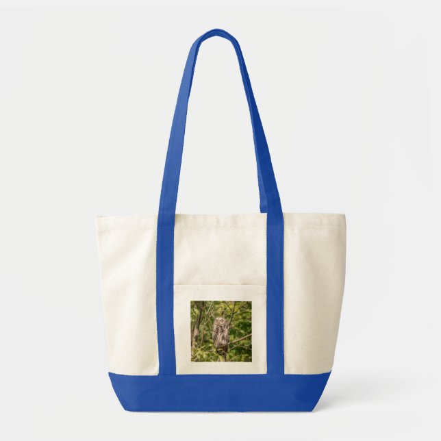 Sleepy Barred Owl Tote Bag (Front)