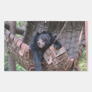 Sleepy Bear Hammock Park Forest Trail Camping Art Rectangular Sticker