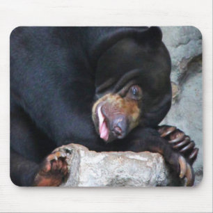 Sleepy Bear Mouse Pad