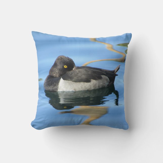 Sleepy Black White Duck Photo Reflection Nature Cushion (Front)