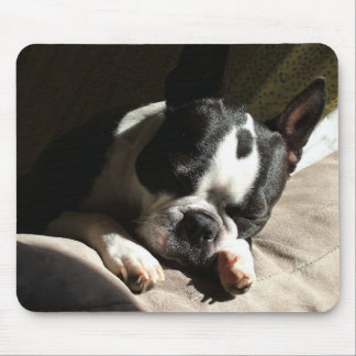 Sleepy Boston Mouse Pad