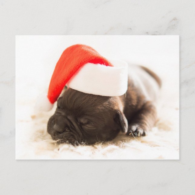Sleepy Bulldog Puppy Christmas Postcard (Front)
