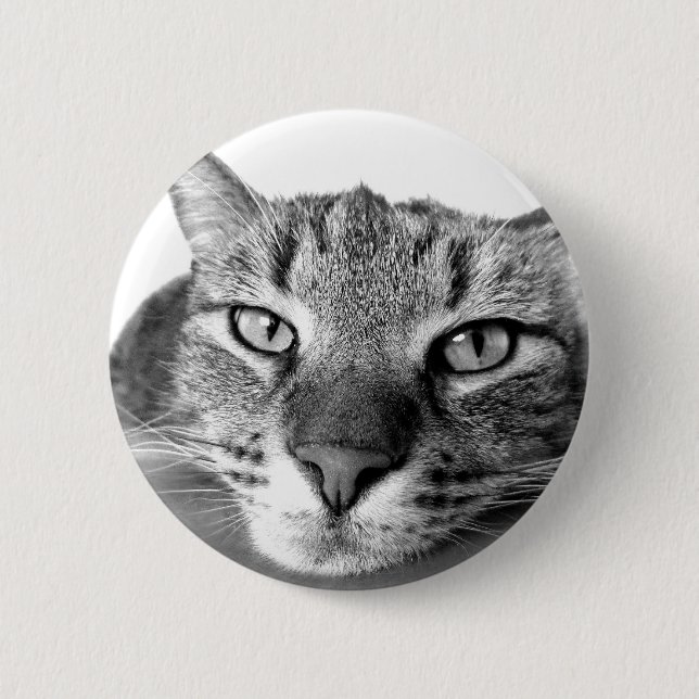 Sleepy Cat 6 Cm Round Badge (Front)