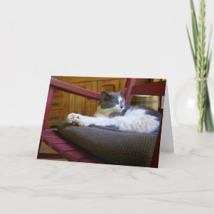 Sleepy Cat / Birthday Greeting Card