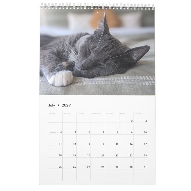 Sleepy Cat Calendar (Jul 2027)