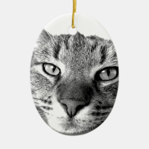 Sleepy Cat Ceramic Ornament