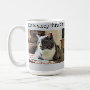 Sleepy Cat Coffee Mug