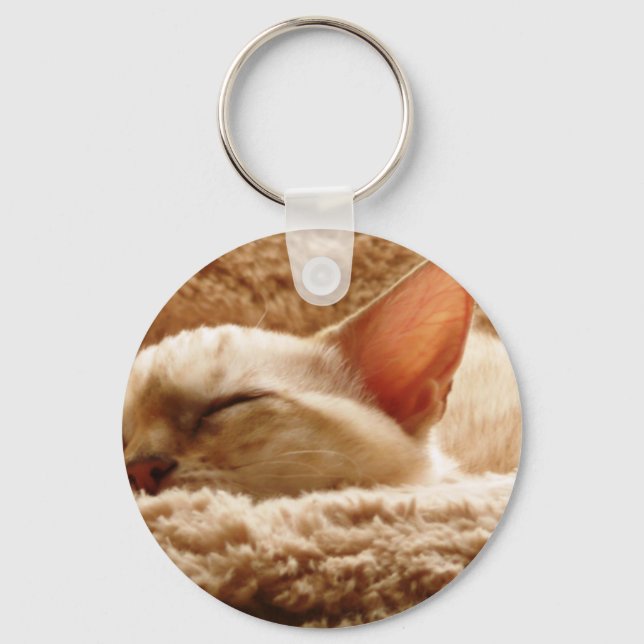 Sleepy Cat Key Ring (Front)