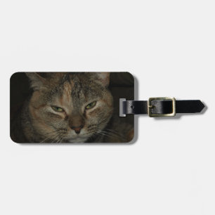 Sleepy Cat Luggage Tag