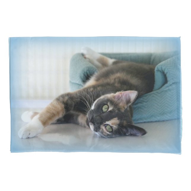 Sleepy Cat on Blue Bed Pillowcase (Front)