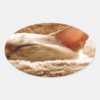 Sleepy Cat Oval Sticker