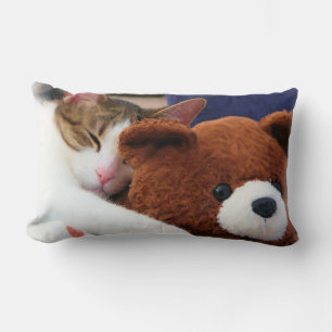 Sleepy Cat Teddy Bear Lumbar Cushion