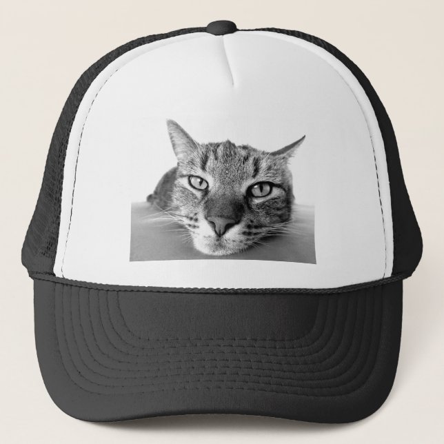 Sleepy Cat Trucker Hat (Front)