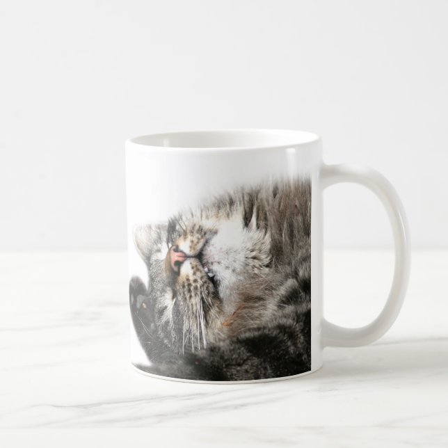 Sleepy cat wants coffee coffee mug (Right)
