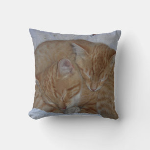 Sleepy Cats Cushion