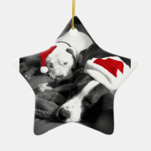 sleepy christmas pitbull puppies adorable santa ceramic ornament