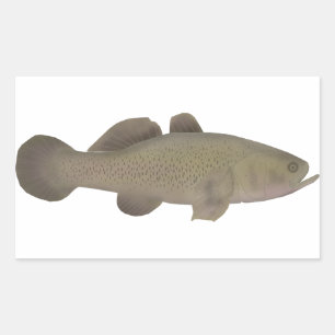 Sleepy Cod Rectangular Sticker