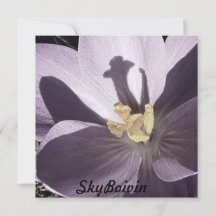sleepy Crocus Poster