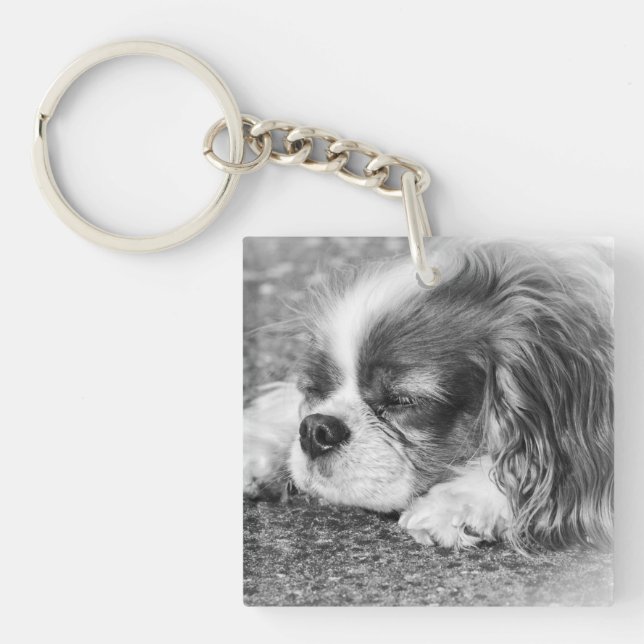 Sleepy Dog  Acrylic Key Ring (Front)