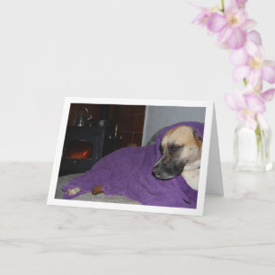 Sleepy Dog by Fireplace Card