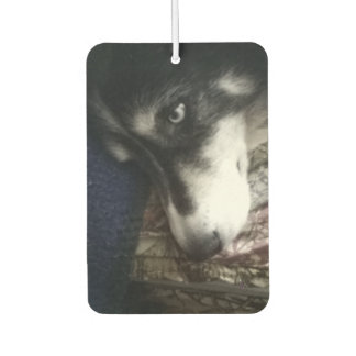 Sleepy Dog Car Air Freshener