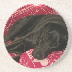Sleepy Dog Coaster