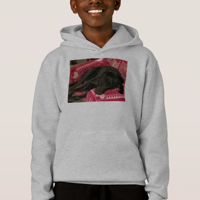 Sleepy Dog Kids Hooded Sweatshirt (Front)