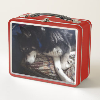 Sleepy Dog Metal Lunch Box
