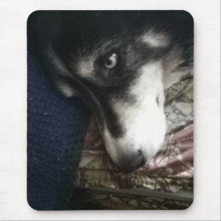 Sleepy Dog Mouse Pad