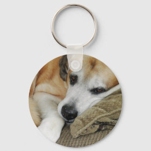 Sleepy Dog Napping Mutt Mixed Breed Pet Photo Key Ring