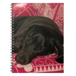Sleepy Dog Notebook