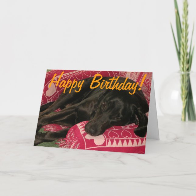 Sleepy Dog "Party til you're POOPED" Birthday Card (Front)