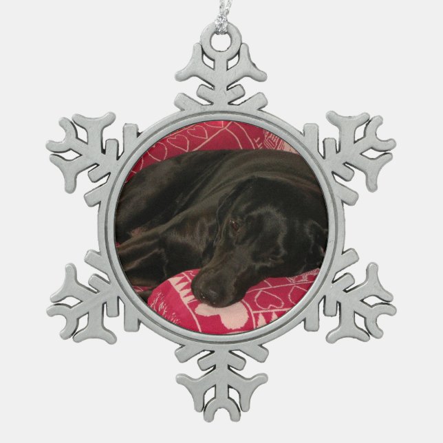 Sleepy Dog Pewter Ornament (Front)