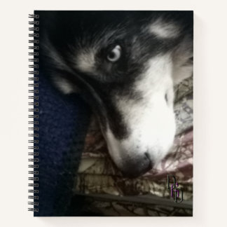 Sleepy Dog Spiral Notebook