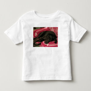 Sleepy Dog Toddlers T-Shirt