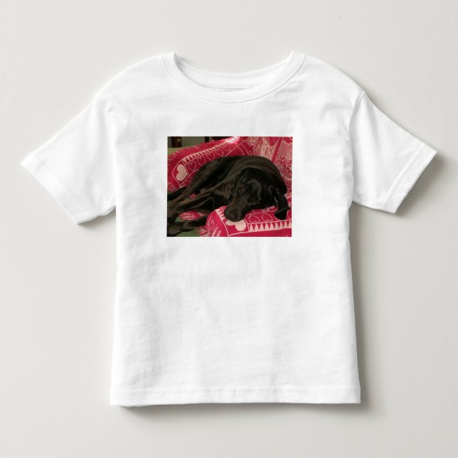 Sleepy Dog Toddlers T-Shirt (Front)